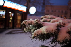 Утренняя Одесса в снегу (ФОТО)