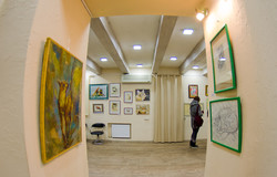 В Одессе открылась выставка "Котомания" (ФОТО)