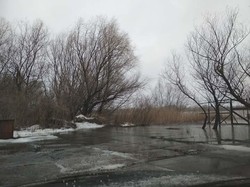 Райцентру Одесской области угрожает наводнение на Дунае (ФОТО)