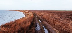 Продолжается захват земель нацпарка "Тузловские лиманы", - эколог