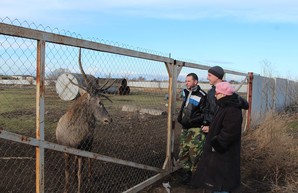 Продолжается захват земель нацпарка "Тузловские лиманы", - эколог