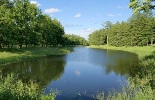 В Одесской области потратят 18 миллионов на экосистему Придунайских озер