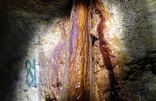 В подземных водах у пляжа Отрада обнаружены оксиды железа и… мышьяк