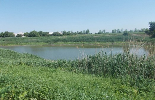 Одесская ОГА получит полномочия сдавать в аренду водоемы в области