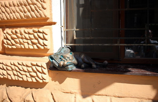 На окне Всемирного Клуба Одесситов снова появится кот Жванецкого
