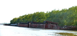 Фото дня: кладбище кораблей на Дунае под Измаилом