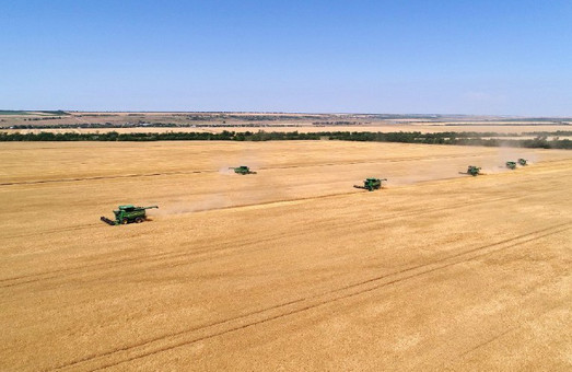 Одесская область лидирует по сбору урожая ранних зерновых