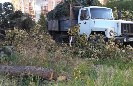 Конфликт вокруг вокруг «лесоповала» на Гагаринском плато в Одессе выходит на новый уровень