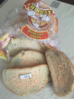 В Одессе подорожает заплесневелый хлеб