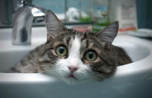 В Одессе разгоняют фейк о загрязненной питьевой воде