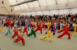 В Одессе пройдет финал Кубка Украины по ушу