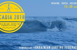 На досках по волнам спортсмены покатаются на пляже Аркадия