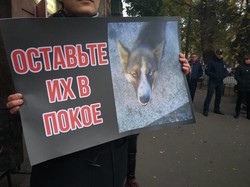 Очередной протест зоозащитников у Одесского цирка (ФОТО)