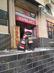 Одесским котикам повезло с шарфиками (ФОТО, ВИДЕО)