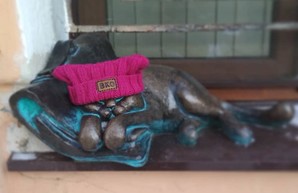 Одесским котикам повезло с шарфиками (ФОТО, ВИДЕО)