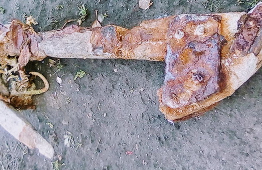 Старинный якорь обнаружен  в Нацпарке «Тузловские лиманы» (ФОТО)