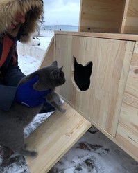 Обогрев для котов установлен в Лузановке (ФОТО)