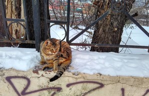 Одессу ждет гололедица