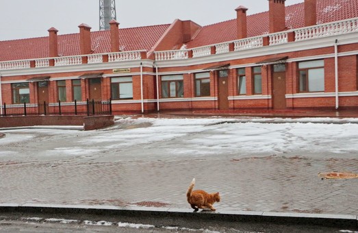 В Одессе продолжают ремонтировать инфекционную больницу (ФОТО)