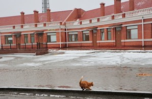 В Одессе продолжают ремонтировать инфекционную больницу (ФОТО)