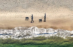 Очередная награда одесского фотохудожника Евгения Самученко (ФОТО)