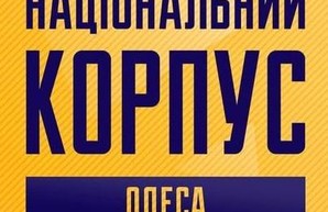 В Одессе еще раз снесли забор на стройке "собачьего городка" (ВИДЕО)