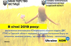 За неуплату алиментов горе-отец мог лишиться земли