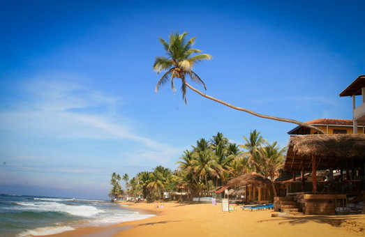 Отпуск на Шри-Ланке: выбираем лучший пляж