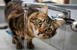 Одесситам возвращают воду