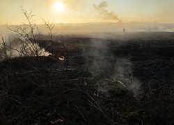 В Одессе на Пересыпи горел камыш неподалеку от нефтебазы (ФОТО)