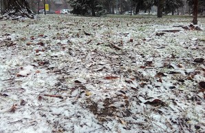 В Одессе началась метель (ФОТО)
