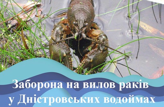 С понедельника раков в Одесской области ловить запрещено