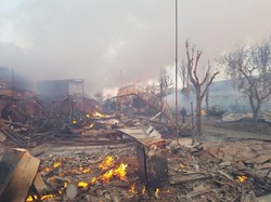 В Затоке сгорело 20 домиков на базах отдыха (ФОТО)