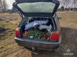 Грабители цветов на могилах задержаны в Одессе (ФОТО)