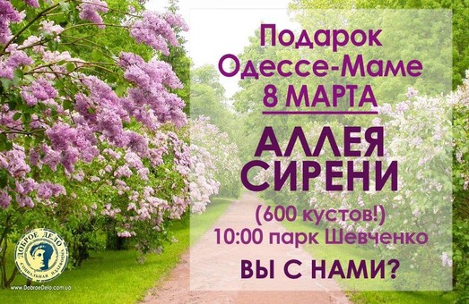 Сиреневая аллея появилась в одесском в парке Шевченко (ФОТО)
