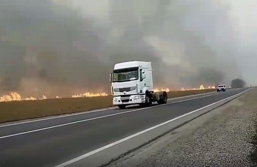 Пожар в Одесской области: горели плавни Днестра под Маяками (ВИДЕО)