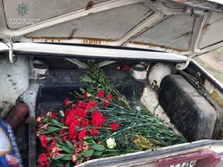 В Одессе объявились могильные стрелки (ФОТО)