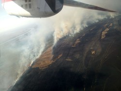 Пожар травы и камыша на территории Вилковского лесничества тушили с самолетов (ФОТО)