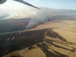 Пожар травы и камыша на территории Вилковского лесничества тушили с самолетов (ФОТО)
