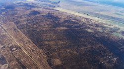 Сгорела заповедная Тарутинская степь в Одесской области (ФОТО, ВИДЕО)