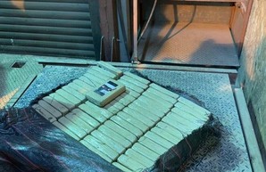 Четверть тонны кокаина в контейнере с бананами обнаружили правоохранители (ФОТО)
