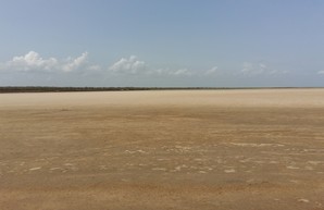 На юге Одесской области водоемы превращаются в пустыни (ФОТО)