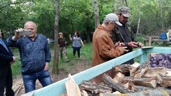 В Одесской области уничтожают лес (ФОТО)