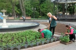 В Одессе высаживают летние цветы (ФОТО)