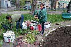 В Одессе высаживают летние цветы (ФОТО)