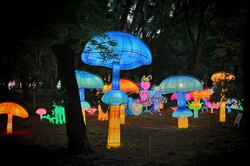 Фестиваль китайских фонарей стартовал в центре Одессы