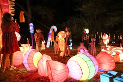Детям из социально незащищённых семей помогли побывать на Фестивале китайских фонарей