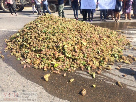 В знак протеста: виноградари Одесчины высыпали урожай на автотрассу