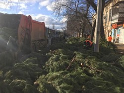 После Нового года на улицах Одессы остались сотни брошенных ёлок