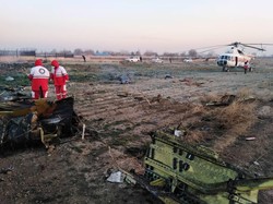 11 граждан Украины погибли в результате крушения самолёта МАУ в Иране